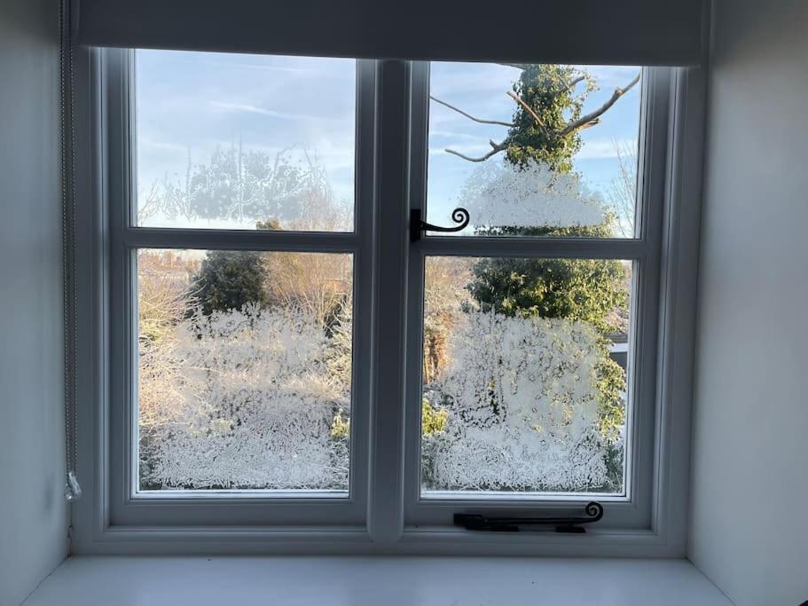 Delightful Ely House Bright And Warm With Cathedral View Apartment Екстериор снимка
